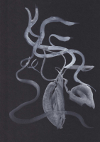 http://www.actionaqua.com/files/gimgs/th-111_glashaus 27_v2.jpg